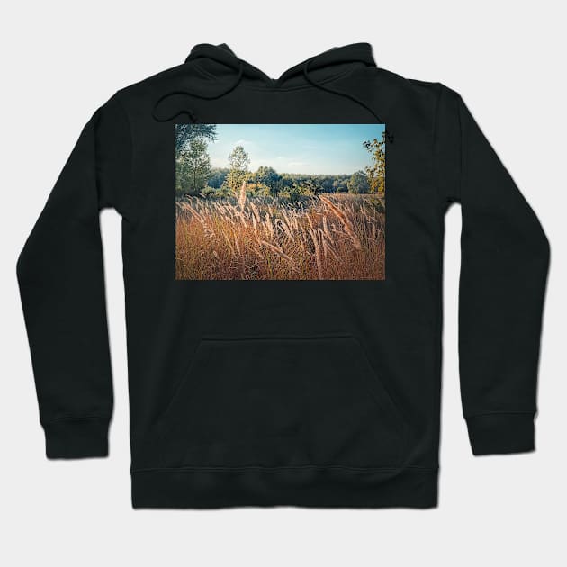 foxtail reed swaying in the wind Hoodie by psychoshadow
